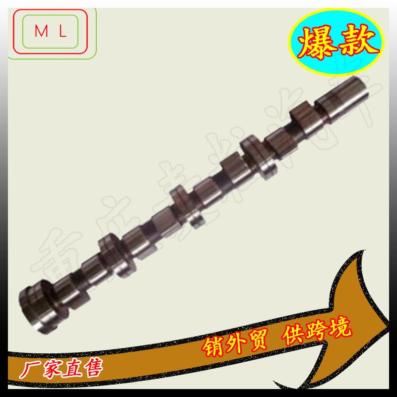 大修包凸轮轴1006015AKZ