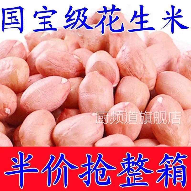 【5斤特价包邮】现剥新花生米新货粉皮新鲜大粒榨油白沙花生10g