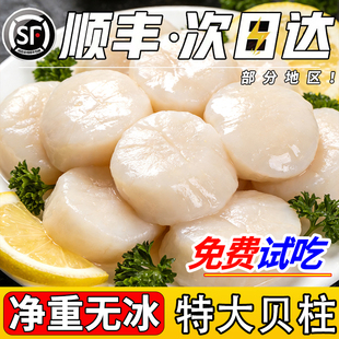 新鲜瑶柱扇贝柱瑶柱鲜贝柱鲜活现剥冷冻冰鲜速冻元贝丁带子肉海鲜