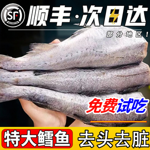 顺丰次日达深海无头明太鳕鱼新鲜冷冻海鲜官方旗舰店辅食婴儿宝宝