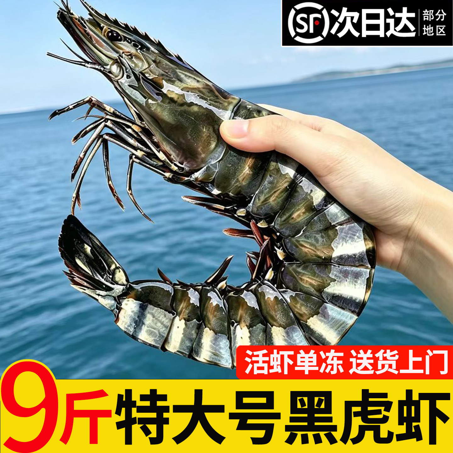 【甄选超大黑虎虾官方旗舰店】