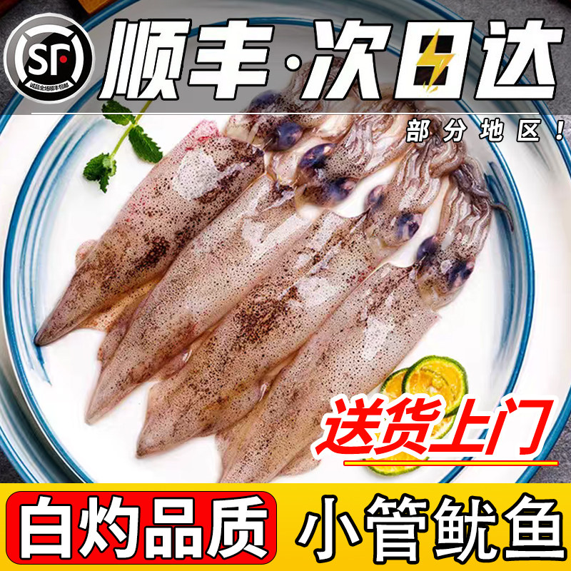 小管鱿鱼白灼鱿鱼新鲜冷冻笔管鱿鱼小管海兔子海鲜水产乌贼大鱿鱼