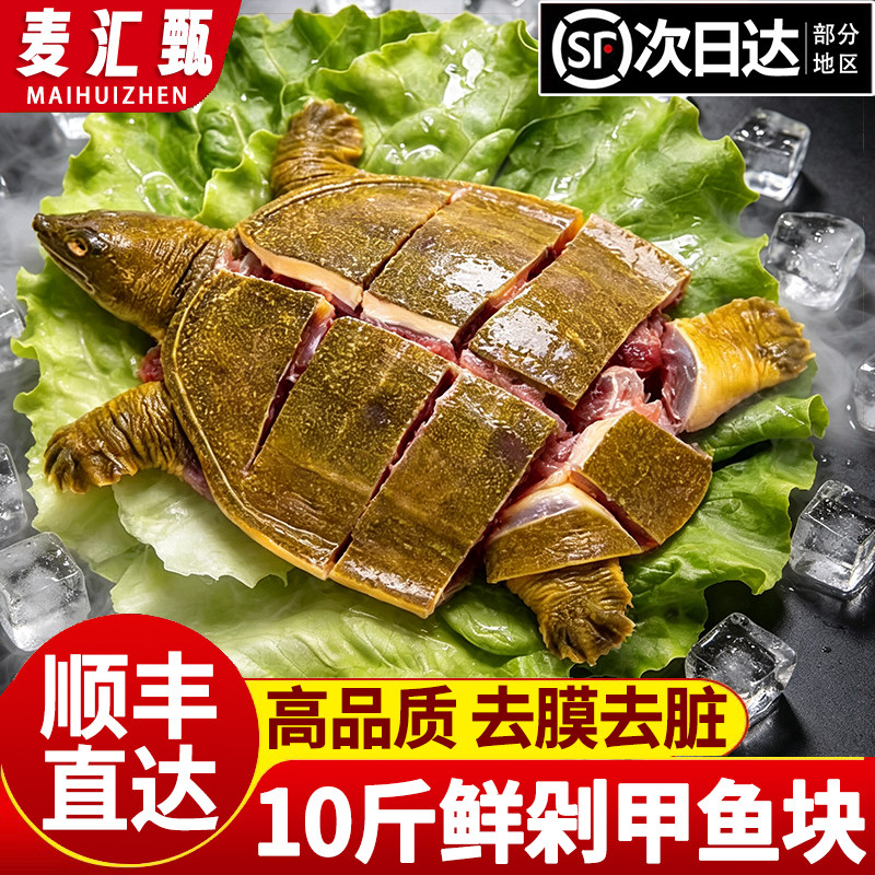 【顺丰上门】鲜杀甲鱼块去内脏