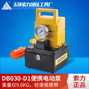 便携式 高压电动泵 DB030 电动液压泵 仿进口泵 D1小型油压泵 索力