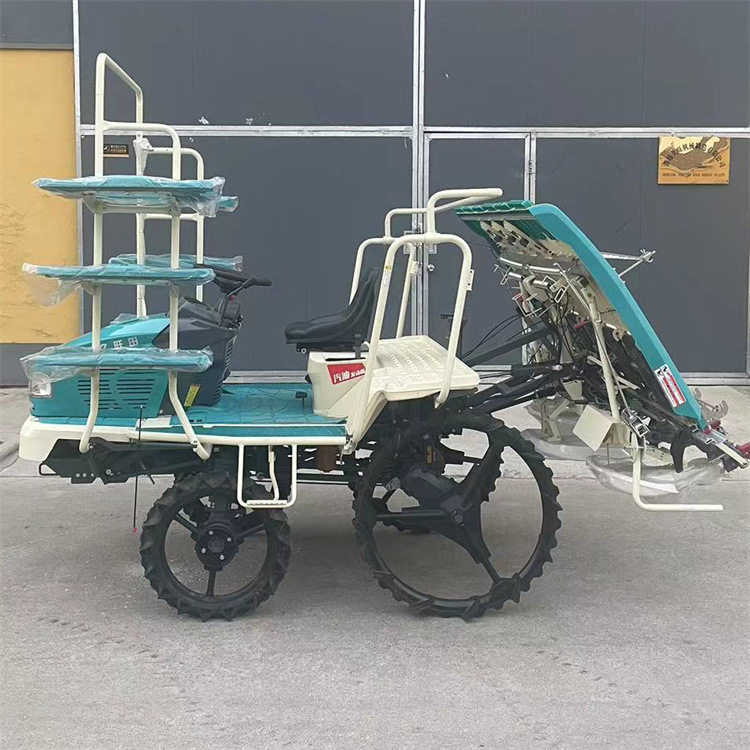 人力步退式 微型水稻秧苗插秧机 6行8行水稻秧苗乘坐式插秧机