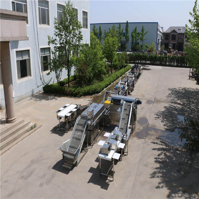 厂家供应净菜配送加工设备商用蔬菜清洗机免费安装调试耐用