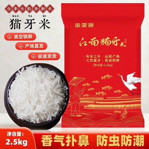 江南猫牙米10斤装大米长粒香大米