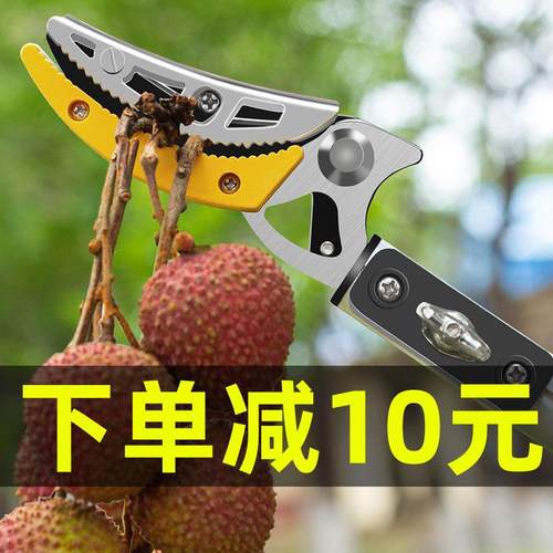 摘水果荔枝采枇杷橘子柚子神器摘果伸缩杆高空修枝剪摘果器高枝剪