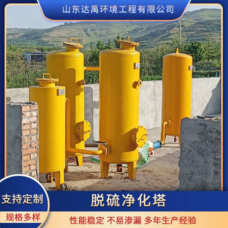 沼气脱硫净化器 调压过滤器除臭防腐蚀脱水脱硫罐 达禹环境