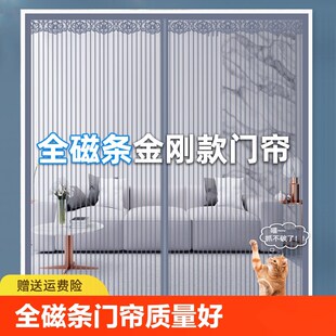 纱窗家用隔断自吸通风金刚安装 全磁条防蚊门帘纱门夏r季 对吸防水