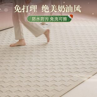 卧室房间沙发茶几可擦洗轻奢高级感 奶油风免打理防水地毯客厅新款