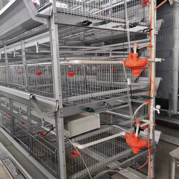 养殖场鸡笼 多层全自动工业化养殖鸡笼全套设备 热镀锌框架蛋鸡笼