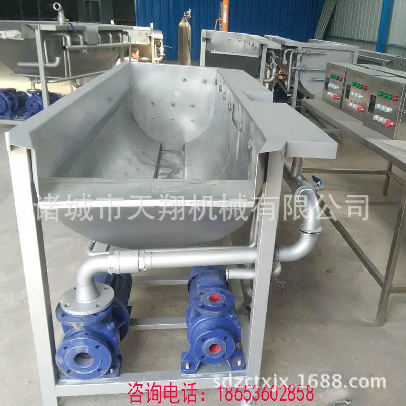 天翔牌橄榄菜涡流清洗机叶菜清洗设备厂家生产蔬果清洗设备