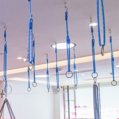 儿童感统康复训练器材悬挂吊缆秋千吊环教具配件室内悬吊器延长绳
