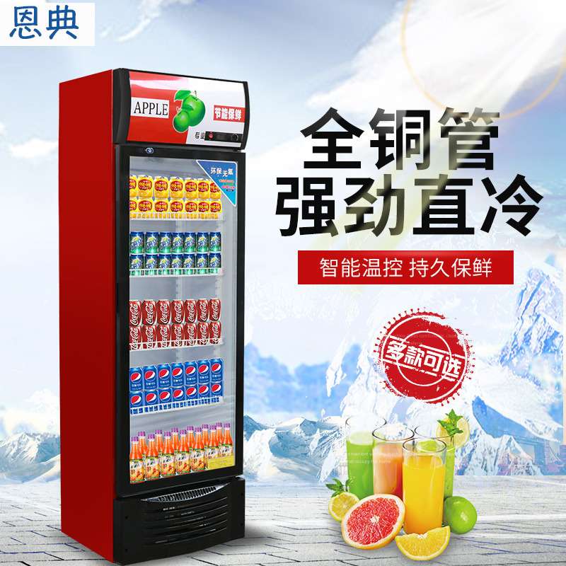 啤酒柜冷藏展示柜立式商用冰箱单门保鲜柜饭店超市冷柜双门 饮料