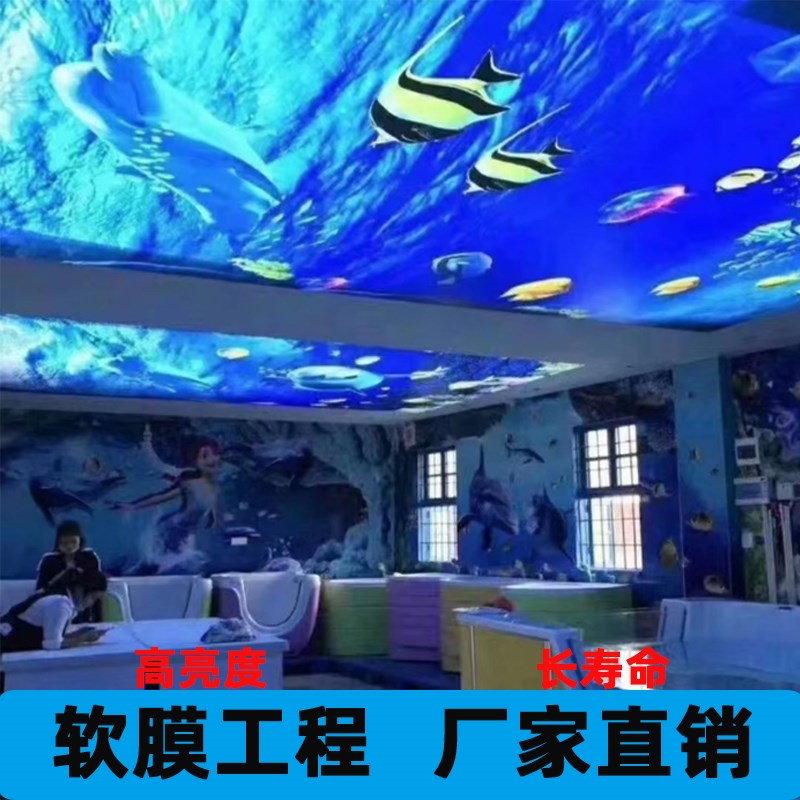海底世界软膜天花吊顶u高画质白色透光膜LED 定制海底世界异型