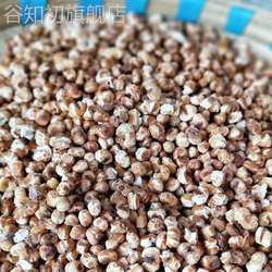 贵州特产大方玉米花糯玉米花水包花 不丢手爆米花玉米花原味500克