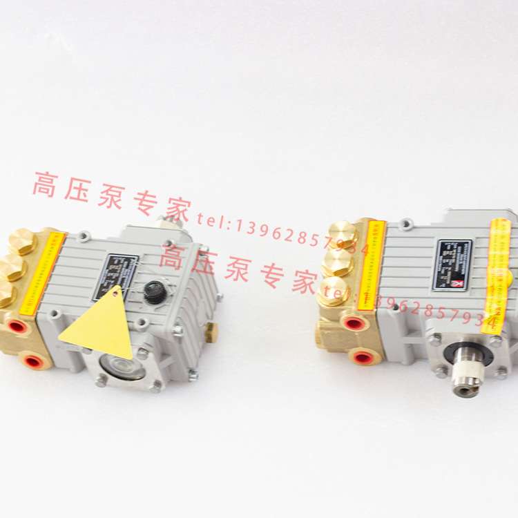 德国进口斯贝克高压泵NP10/10-150、NP10/10-150S、NP10/10-150RE