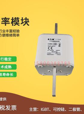 170M6693/6694/6695/6696/6697/6698/6699/6700快速保险丝熔断器