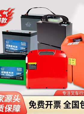 中力电动堆高机电池12V65A85A杭叉合力24Vzapy理士搬运车铅酸锂电