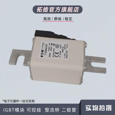 170M4258/4259/4260/4261/4262/4263/4264/4265/4266熔断器保险丝