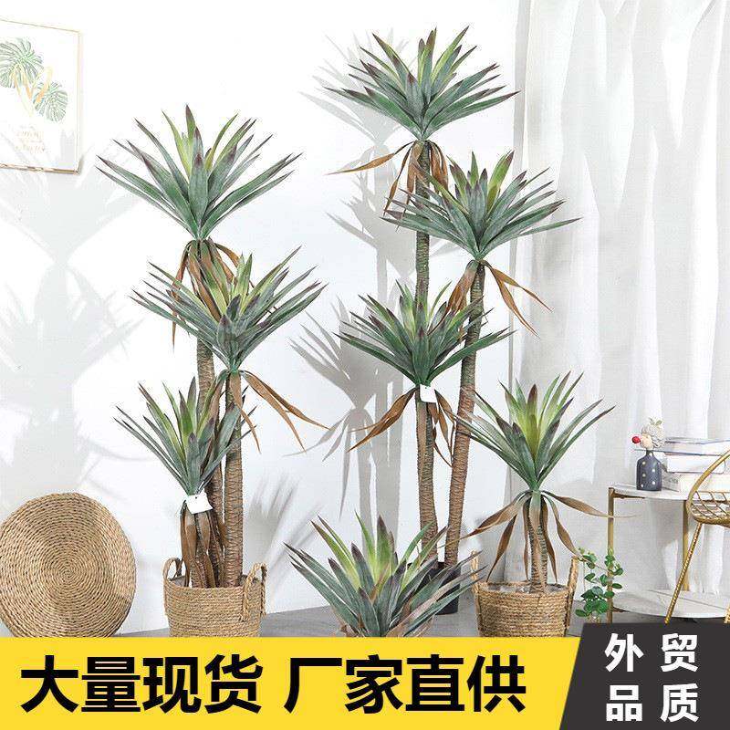 仿真龙舌兰剑麻盆栽热带植物商场装饰摆件龙血树绿植造景观龙舌兰