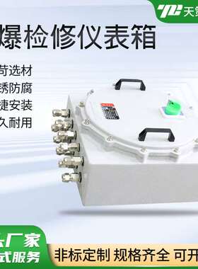 防爆检修仪表箱照明动力箱IIC级型终端配电箱控制箱铝合金材质