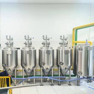 迈拓50L100L200L高校教学实验精酿设备家酿不锈钢啤酒机