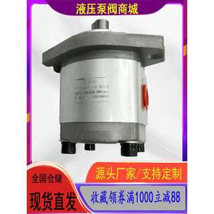 CBK1020 1010 1016 齿轮泵 1004 B1FR 1025 B1FR液压油泵 CBK1012