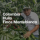 Huila R·S 咖啡豆｜Colombia 惠兰 Gesha 瑰夏｜哥伦比亚