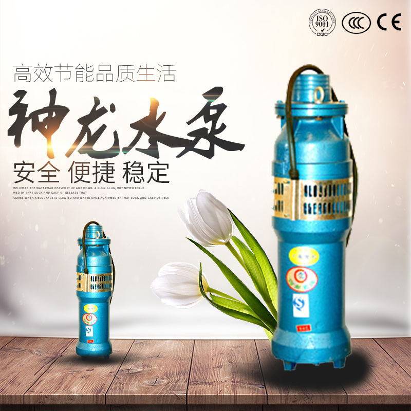 神龙QS潜水深井泵大流量高扬程水浸式潜水泵景观喷泉井用潜水泵,五金/工具,其它泵类型,淘宝优惠券,粉丝福利购,淘宝优惠卷