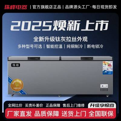 冰柜商用大容量冷柜速冻冷藏冷冻单温卧式双门冷冻柜冻肉柜家用