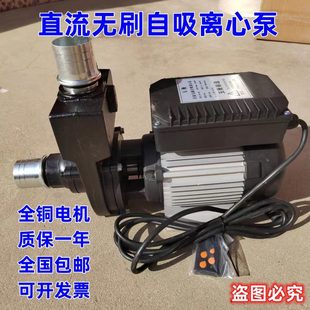 智能遥控自吸离心泵40ZQB直流无刷自吸离心泵洒水车水泵增压泵全
