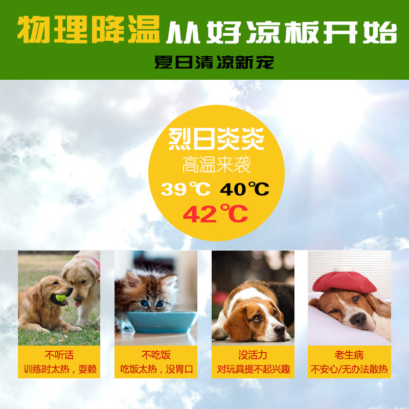 宠物散热铝合金板狗狗猫咪仓鼠兔子夏季降温降暑散热板防咬床冰垫,宠物/宠物食品及用品,散热板,淘宝优惠券,粉丝福利购,淘宝优惠卷