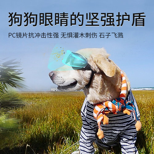 宠物眼镜太阳眼镜狗墨镜防风法斗泰迪柯基模特拍照道具狗狗护目镜
