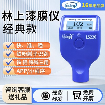 林上漆膜仪漆膜测厚仪高精度汽车检测测膜仪膜厚测量仪汽车测漆仪