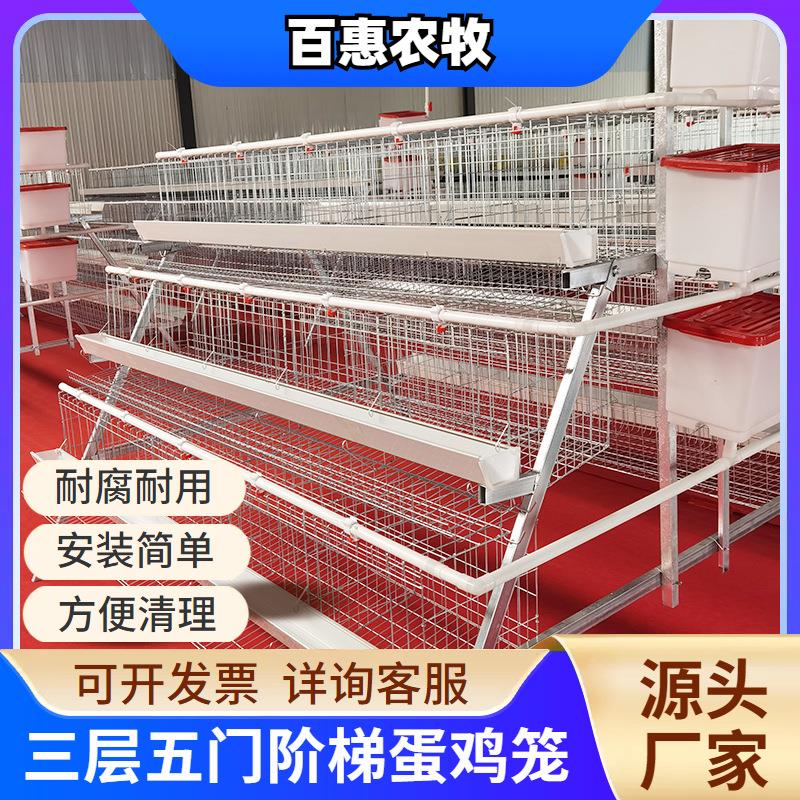 养殖场用三层五门白槽蛋鸡笼设备热镀锌多层阶梯式笼养鸡设备厂家