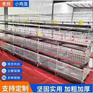 四层立式育雏小鸡笼雏鸡育苗笼养雏鸡笼养殖场铁丝镀锌养小鸡笼