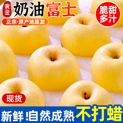 【山东直发】脆甜奶油富士苹果