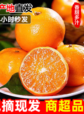 正宗广西沃柑桔子新鲜水果当季高原皇帝蜜柑橘砂糖桔包邮现摘现发