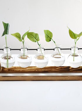 创意木架透明玻璃花瓶桌面水培绿植装饰花架五个瓶家居摆件工艺品