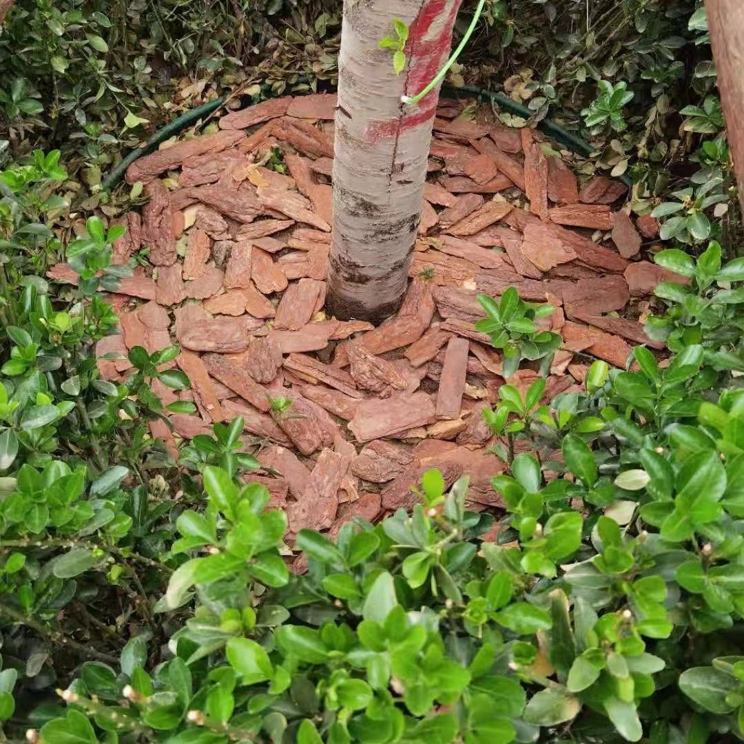 打磨松树皮园林绿化造景有机覆盖物种植栽培发酵腐熟松鳞污水处理