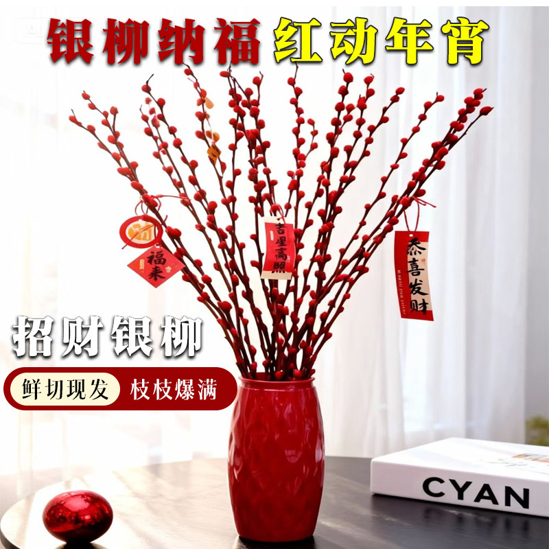 银柳真花鲜枝干花摆件室内客厅鲜花绿植新年年宵花卉植物过年春节