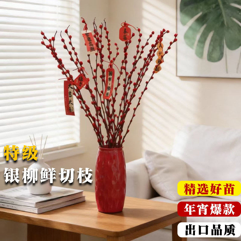 银柳真花鲜枝年宵花红色银柳干花耐寒盆栽水培花卉易活植物室内花,鲜花速递/花卉仿真/绿植园艺,时令草本花卉,淘宝优惠券,粉丝福利购,淘宝优惠卷