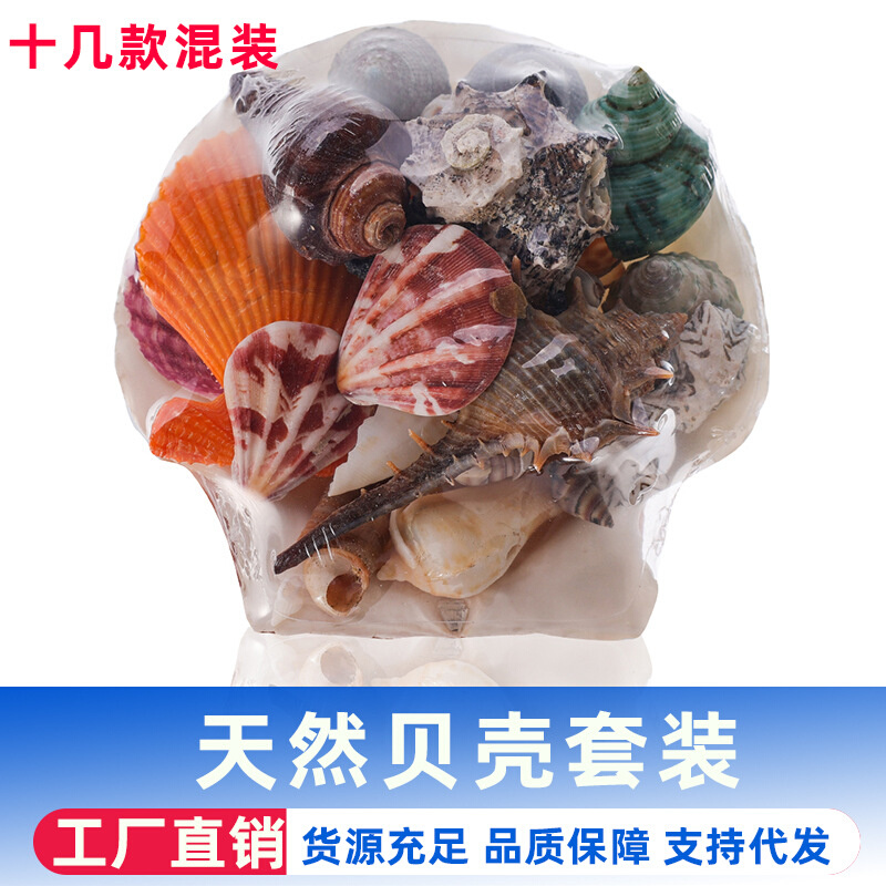 鱼缸造景贝壳海洋馆水族馆造景装饰天然贝壳海螺套装夜市摆摊饰品