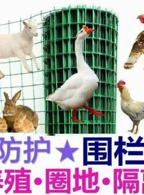 鱼塘围栏网果园圈地防护网鱼塘菜地户外养殖鸡舍农村拦鸡鸭铁丝网