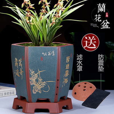 宜兴紫砂花盆兰花盆君子兰花盆带底座盆栽花卉陶瓷花盆兰花专用盆