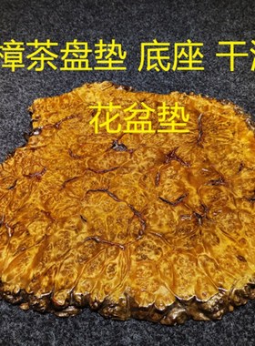 根雕木料实木摆件黄金樟树瘤樱子自然随型花盆垫茶壶垫干泡台底座