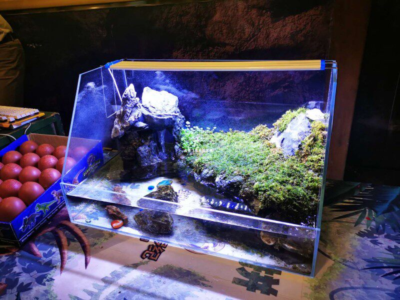 亚克力斜口水陆缸养乌龟缸热带雨林植物生态缸鱼缸长方形大型景观