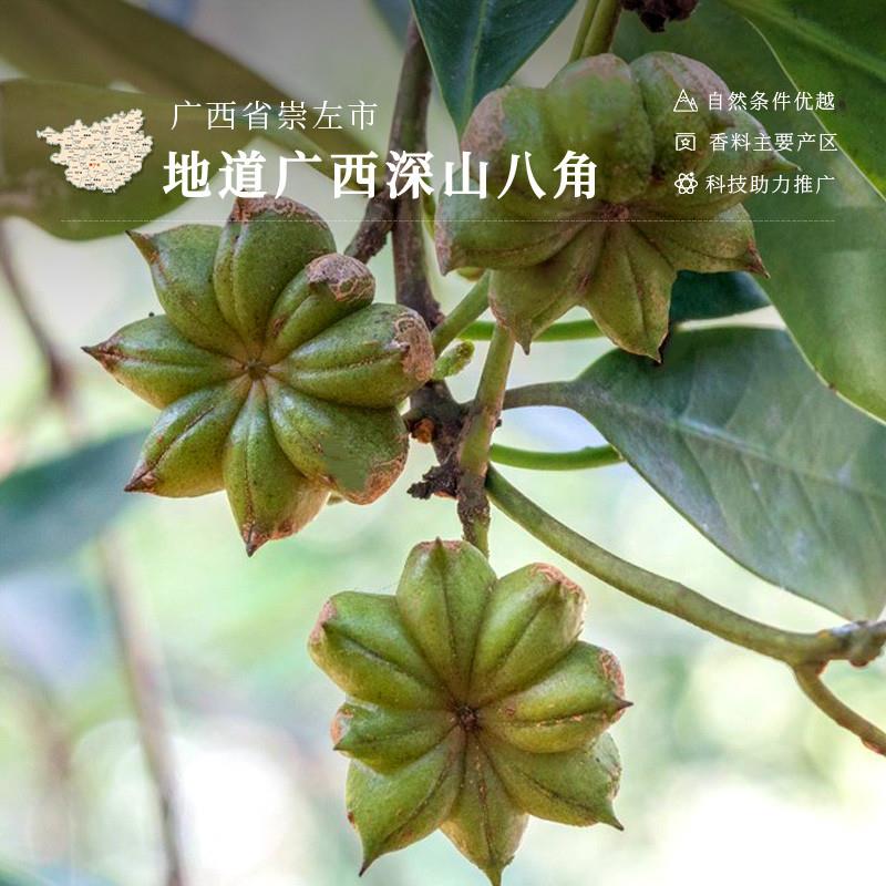 八角500g广西大红八角大茴